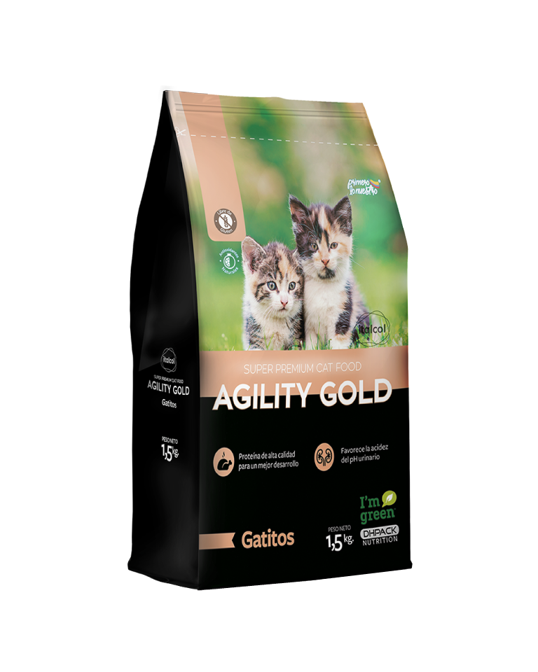 Agility Gold / Gatitos.