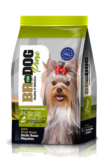 BR DOG PURE/ perros adultos/ razas pequeñas