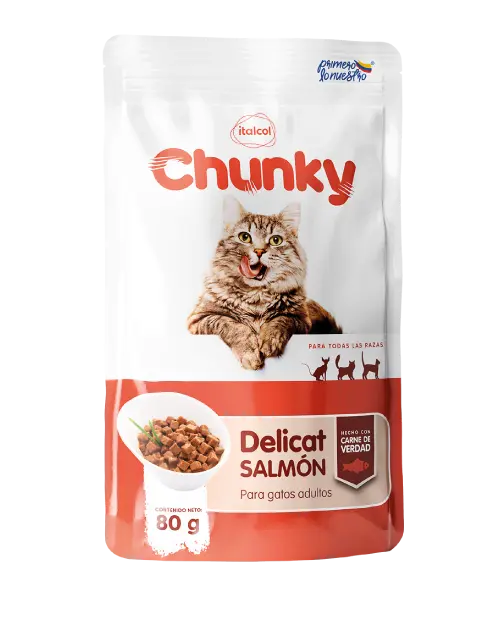 Chunky / Delicat / Gatos adultos / Alimento húmedo / SOBRE.