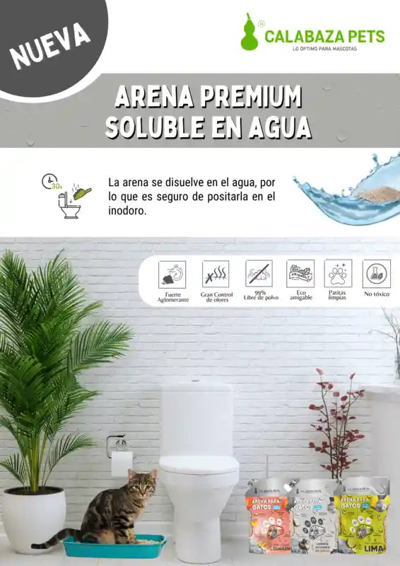 Calabaza / Gatos / Arena Soluble Premium/ Lima.