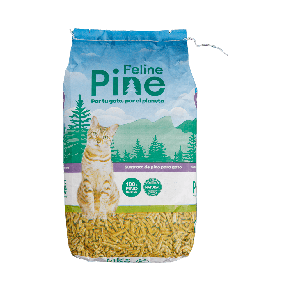 Arena Pine