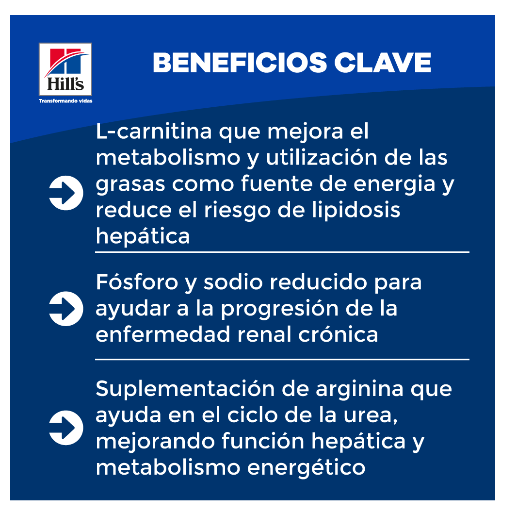 Kidney Care Alimento Húmedo – Prescripción.